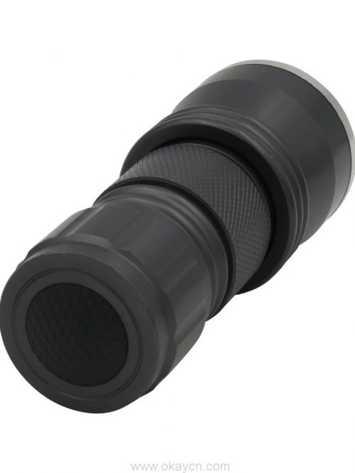21 LED black light uv flashlight 1