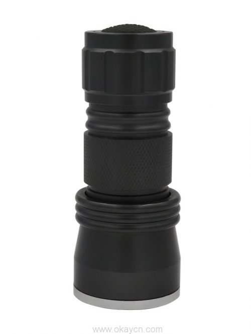 21 LED black light uv flashlight 4