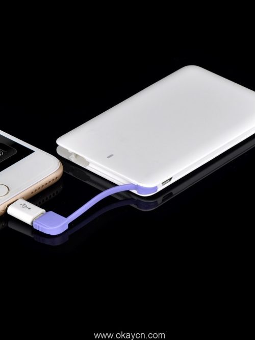 2500mah-ultra-slim-6-6mm-credit-card-cool-power-ba-02