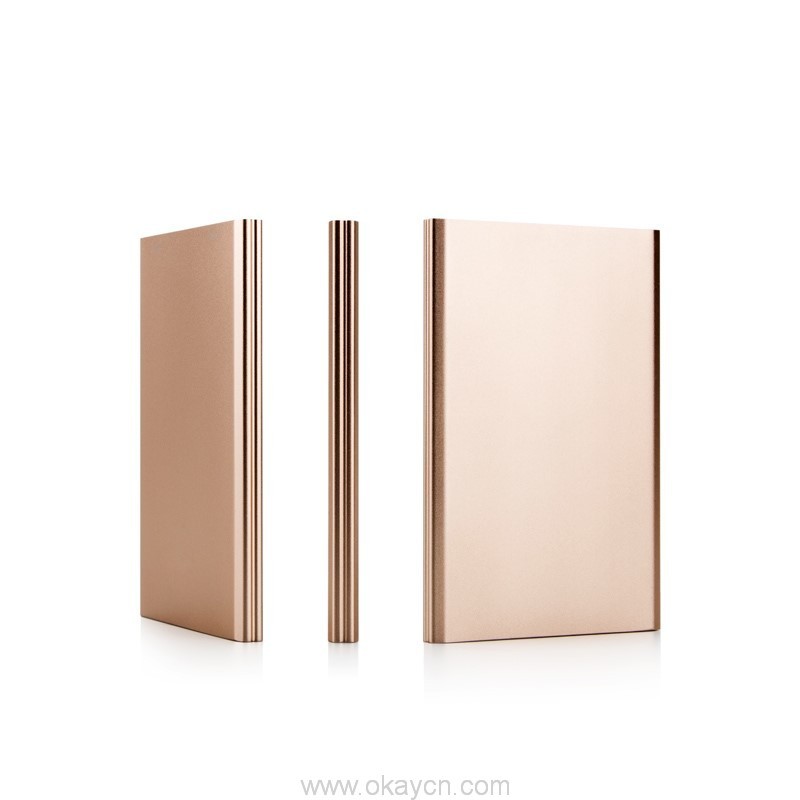 Alloy slim card power bank