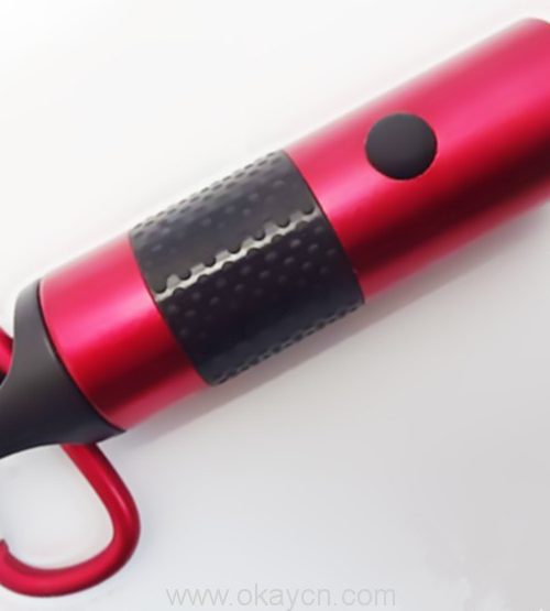 mini flashlight key chain 1