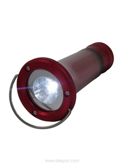 Multifunctional dry battery flashlight 2