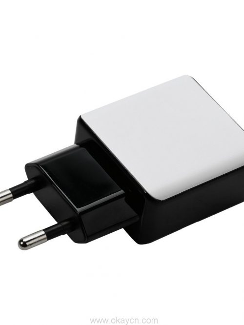 wall-charger-2-4a-01